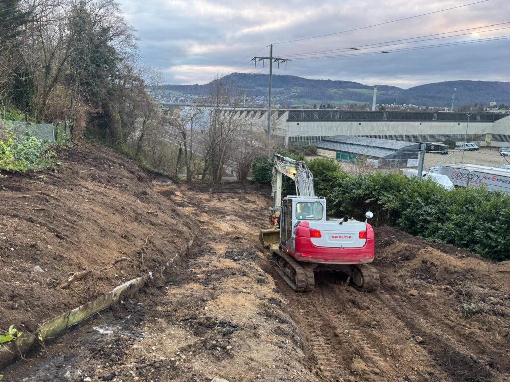 NEUBAU EFH ( Haus B ), Dornach